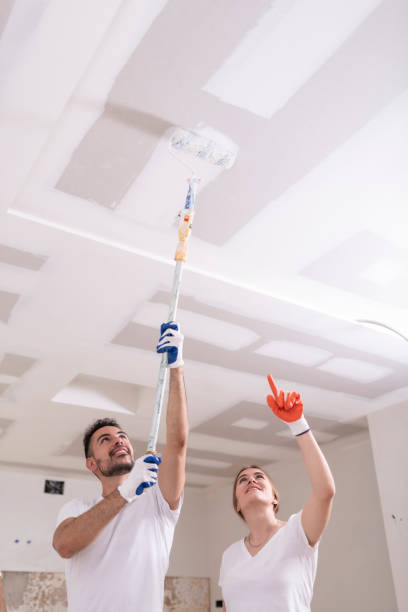 Best Air Quality Testing for Mold Spores  in Bray, OK