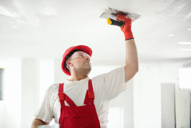 Best Emergency Mold Remediation  in Bray, OK