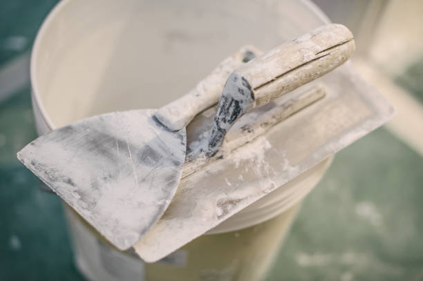 Best Attic Mold Removal  in Bray, OK