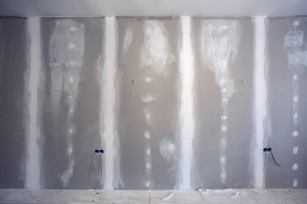 Best Mold Removal for HVAC Installations  in Bray, OK